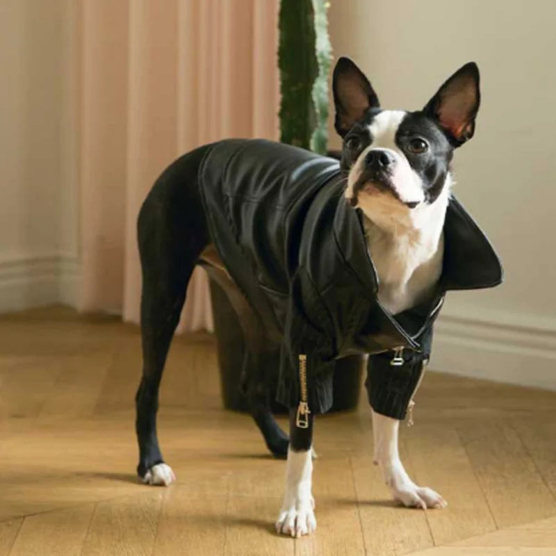 Marley & Lucy Eco-Leather Dog Jacket